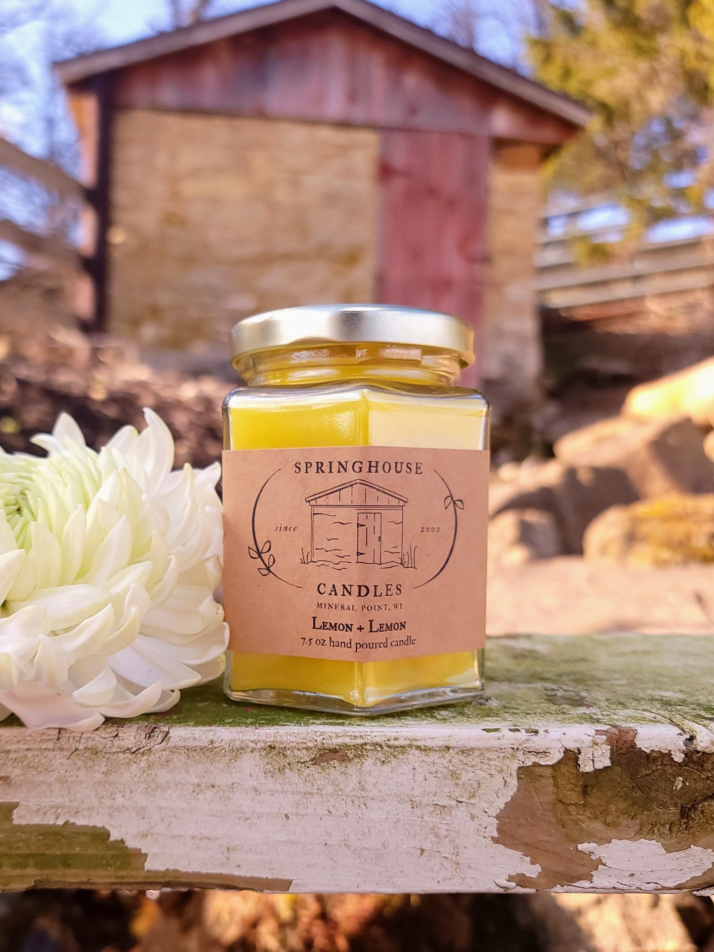 Lemon + Lemon 7.5 oz Hand Poured Candle