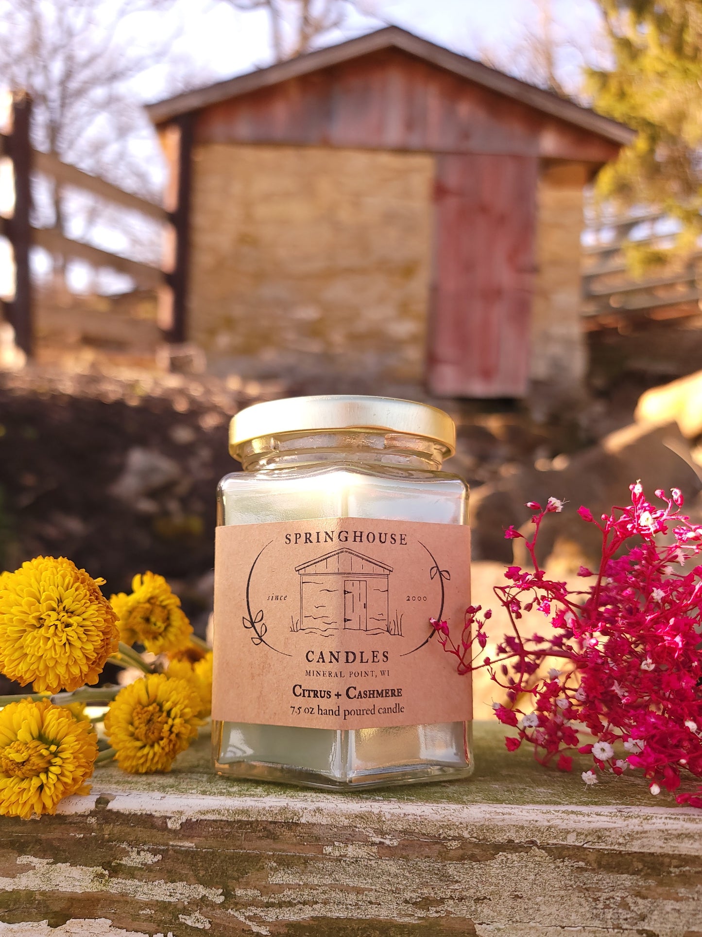 Citrus + Cashmere 7.5 oz Hand Poured Candle