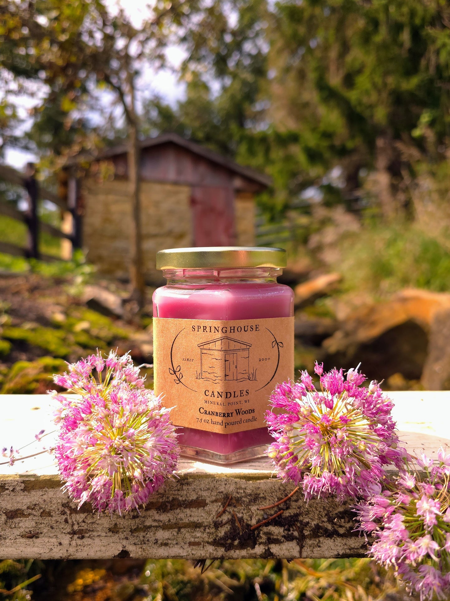 Cranberry Woods 7.5 oz Hand Poured Candle