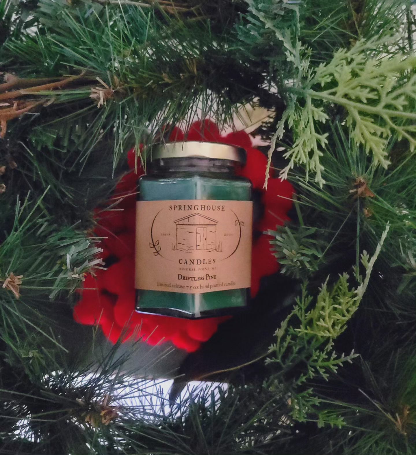 Driftless Pine 7.5 oz Hand Poured Candle