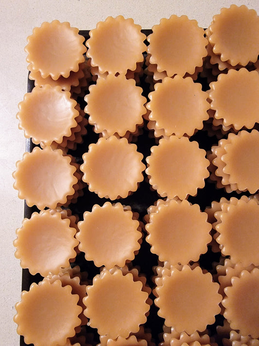 Cider + Spice Handcrafted Wax Melt