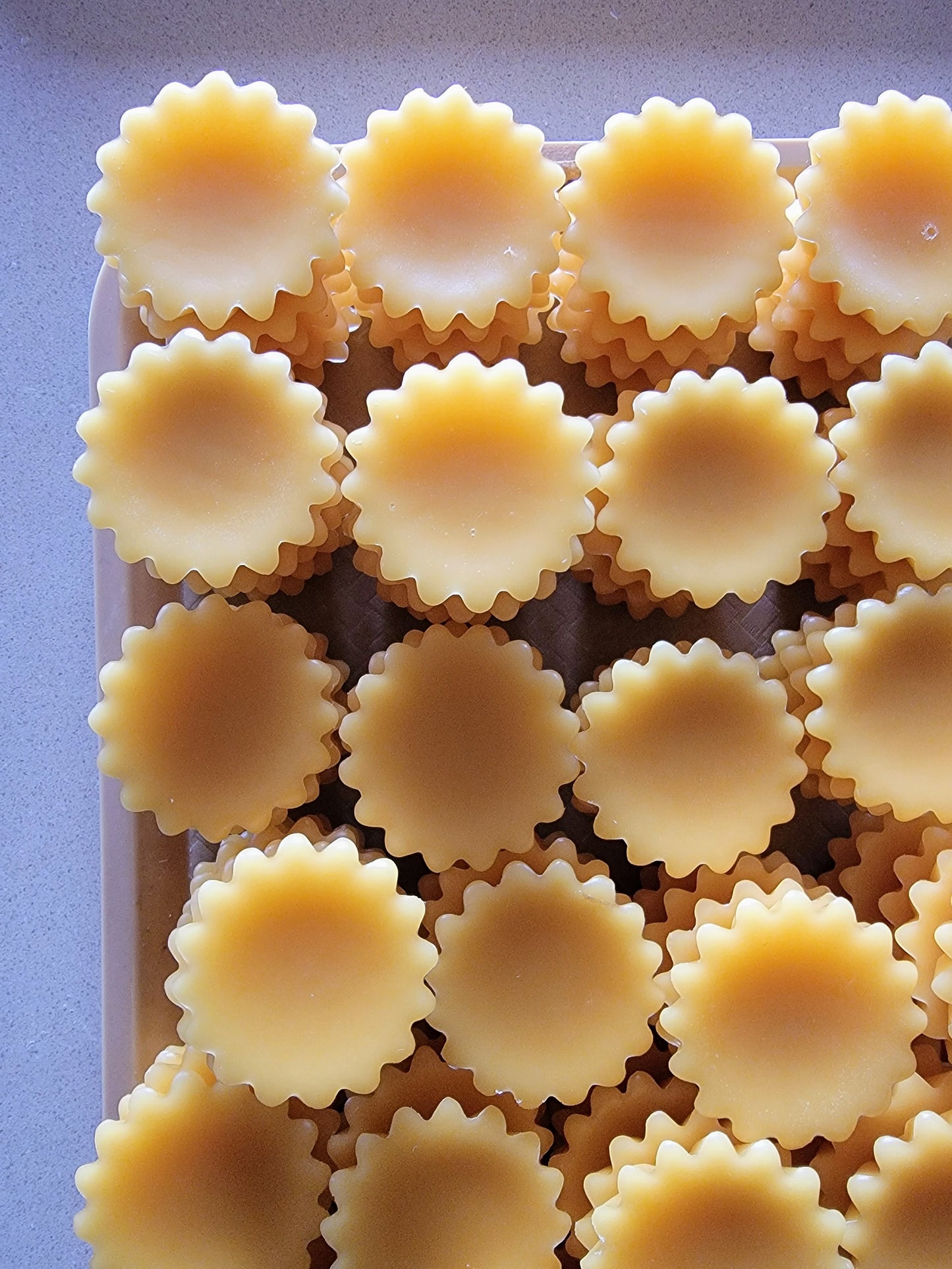 WHOLESALE Amber + Musk Handcrafted Wax Melt