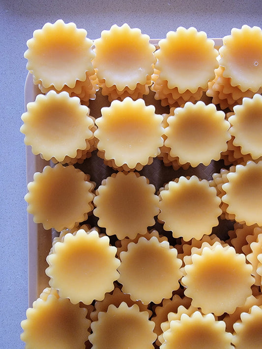 Amber + Musk Handcrafted Wax Melt