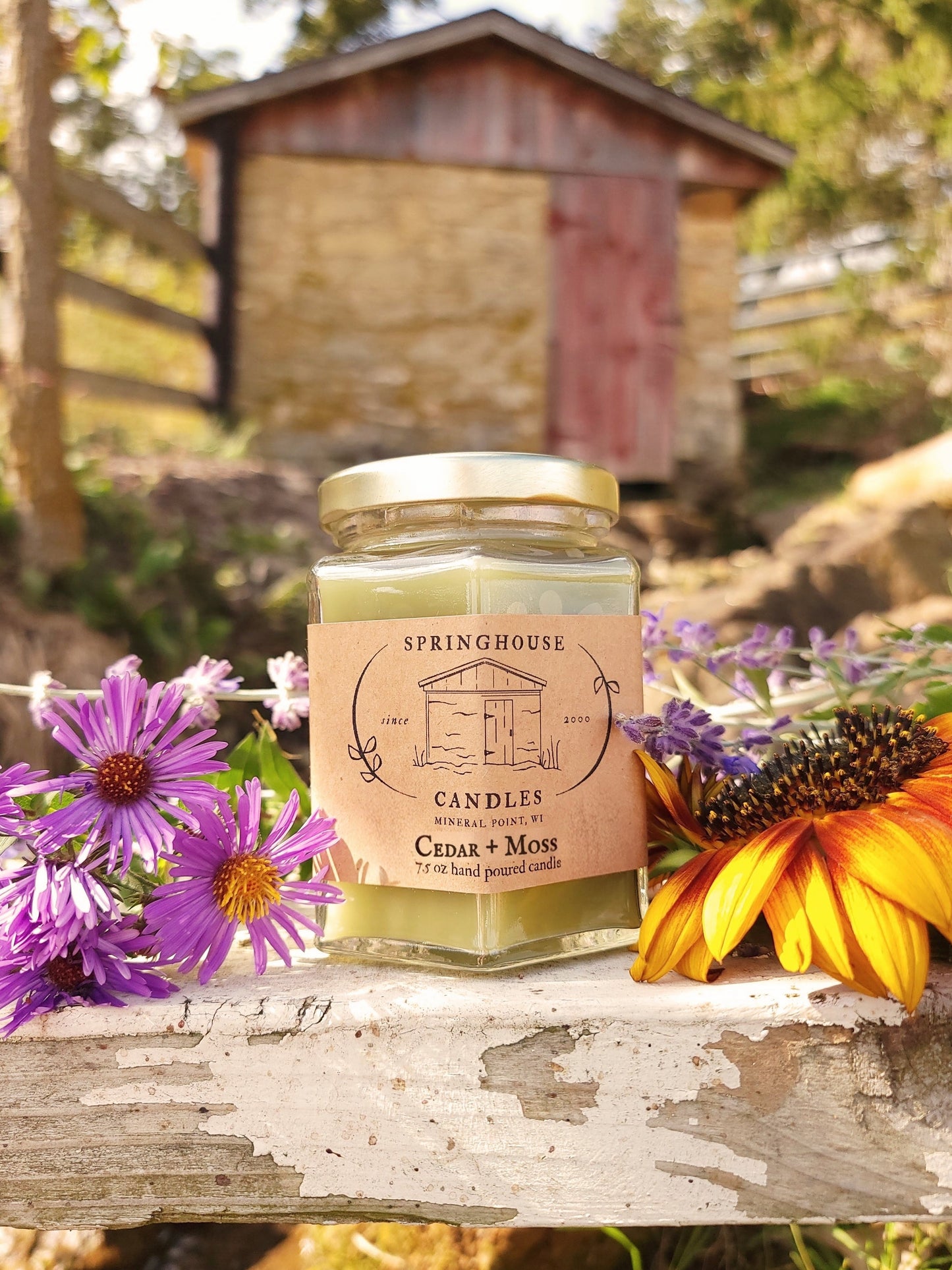 Cedar + Moss 7.5 oz Hand Poured Candle